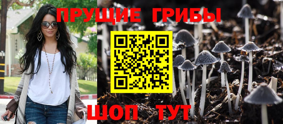 Псилоцибиновые грибы мицелий  Вход с VPN  Родники 