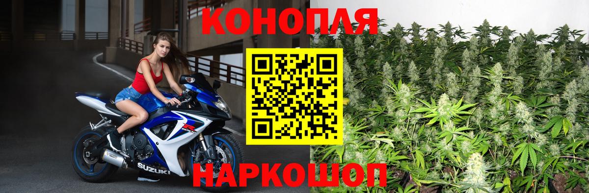 Конопля марихуана  Каннабис марихуана  Вход с VPN  Бошки марихуана тримм  Родники  Марихуана Bruce Banner 